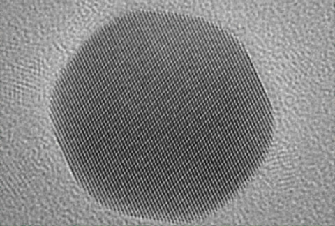 SEM Image