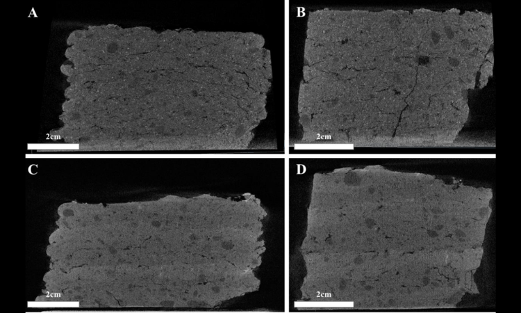 从生物矿化到3D打印:显微CT揭示分层ACC结构的低温构建机制